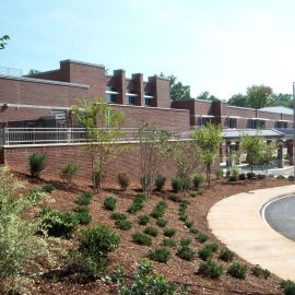Root Elementary Raleigh, NC